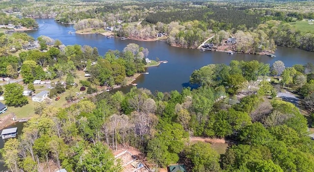 360 Lake Shore Dr, Abbeville, SC 29620 - photo 6