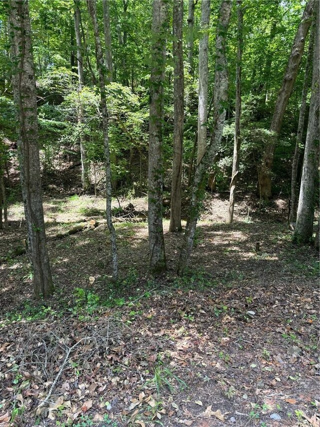 360 Lake Shore Dr, Abbeville, SC 29620 - photo 9