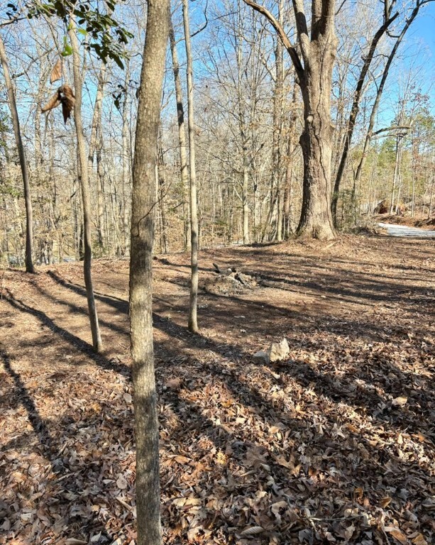 360 Lake Shore Dr, Abbeville, SC 29620 - photo 14