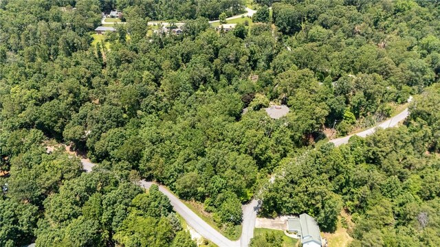 5015 Mount Vernon Dr, Seneca, SC 29672 - photo 45