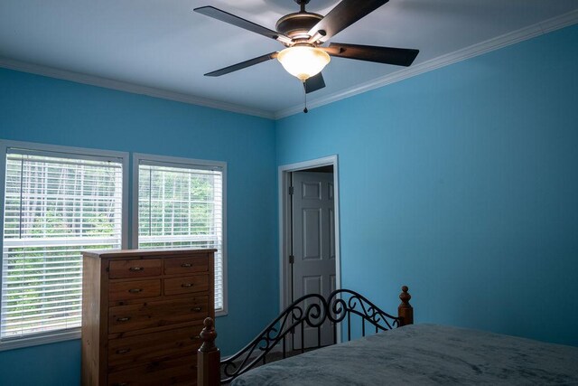 190 Edward Ln, Walhalla, SC 29691 - bedroom featuring multiple windows, crown molding, and ceiling fan