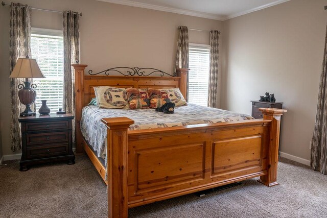 190 Edward Ln, Walhalla, SC 29691 - carpeted bedroom featuring crown molding and baseboards