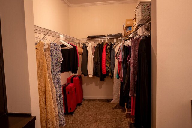 190 Edward Ln, Walhalla, SC 29691 - spacious closet featuring carpet flooring