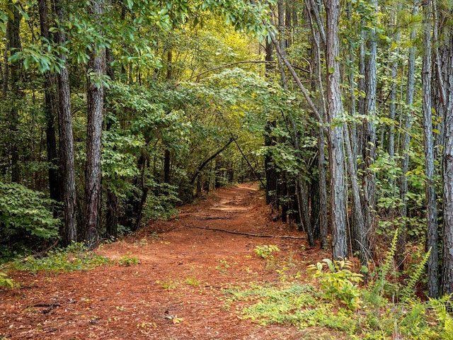 190 Edward Ln, Walhalla, SC 29691 - view of tree filled area