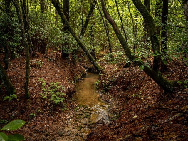 190 Edward Ln, Walhalla, SC 29691 - view of nature
