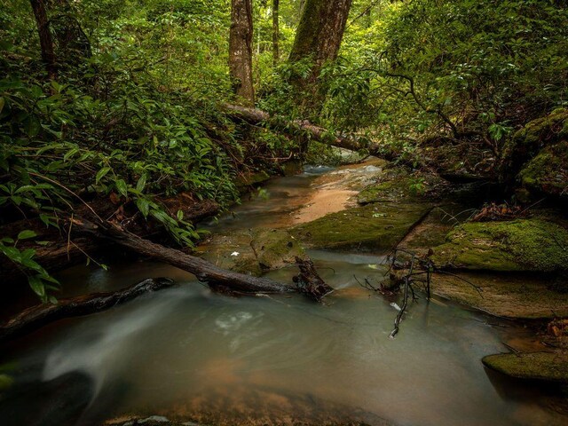 190 Edward Ln, Walhalla, SC 29691 - water view featuring a forest