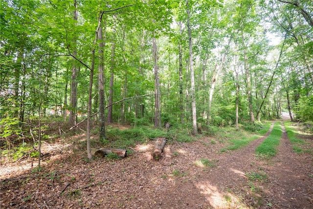 148 Angie Dr, Anderson, SC 29624 - photo 39
