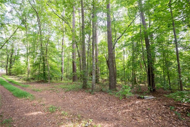 148 Angie Dr, Anderson, SC 29624 - photo 40