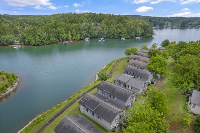 1230 Melton Rd # 64, West Union, SC 29696 - drone / aerial view of a forest and a nearby body of water