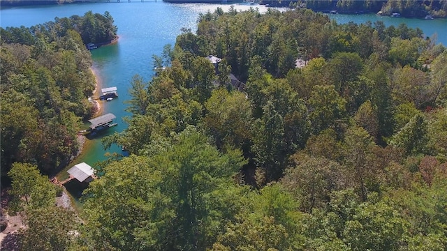 LOT19 Keowee Bay, Salem, SC 29676 - photo 37