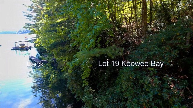 LOT19 Keowee Bay, Salem, SC 29676 - photo 41
