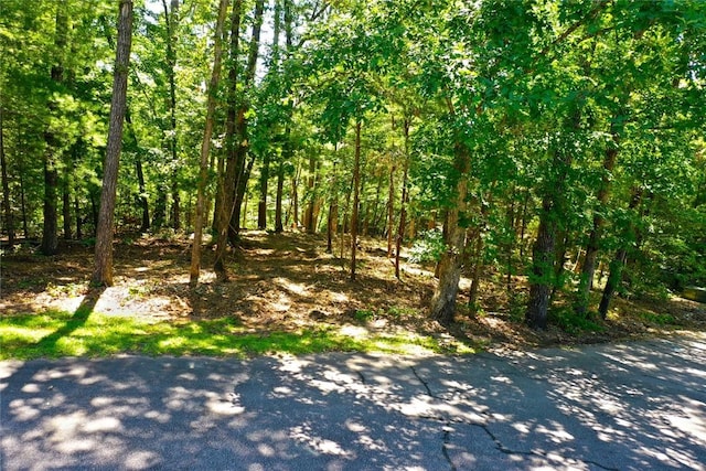 LOT19 Keowee Bay, Salem, SC 29676 - photo 1