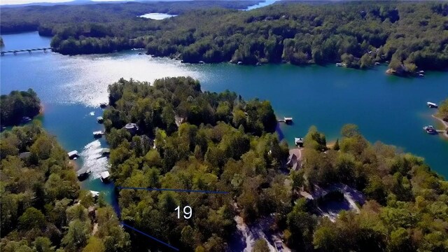 LOT19 Keowee Bay, Salem, SC 29676 - photo 7
