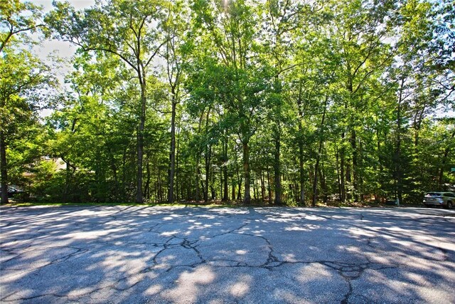 LOT19 Keowee Bay, Salem, SC 29676 - photo 10