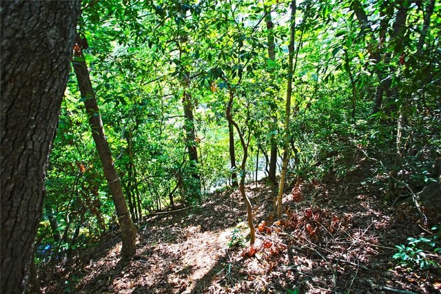 LOT19 Keowee Bay, Salem, SC 29676 - photo 20