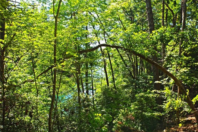 LOT19 Keowee Bay, Salem, SC 29676 - photo 21