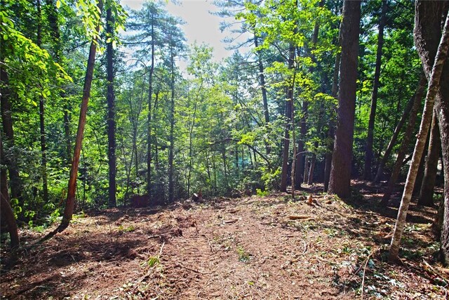 LOT19 Keowee Bay, Salem, SC 29676 - photo 22