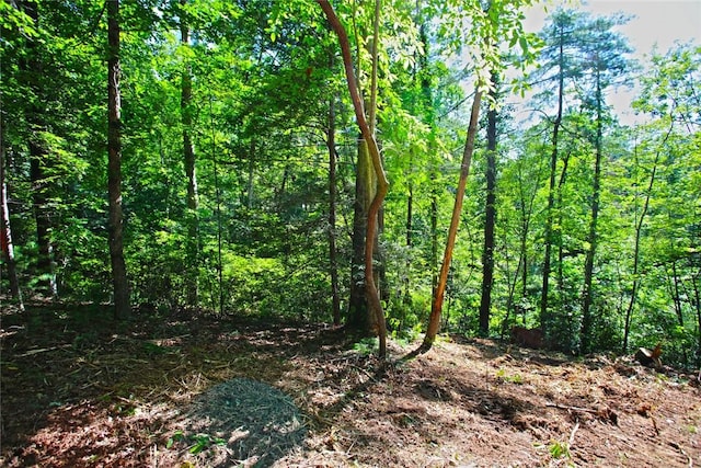 LOT19 Keowee Bay, Salem, SC 29676 - photo 23