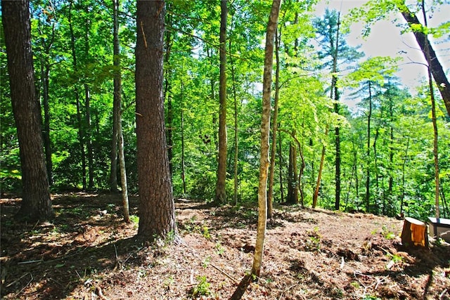 LOT19 Keowee Bay, Salem, SC 29676 - photo 26