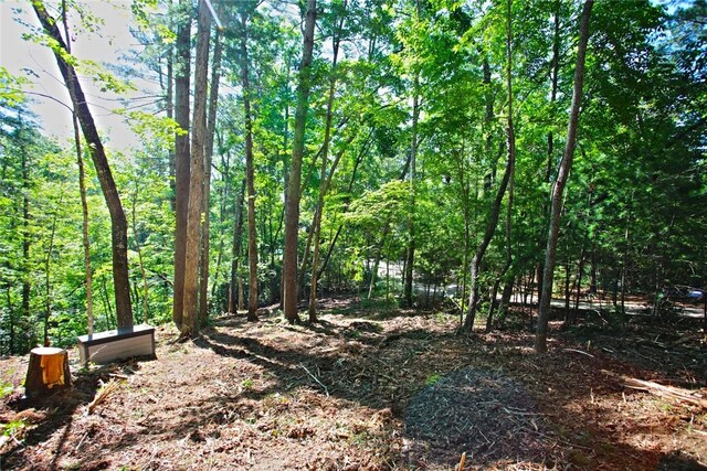 LOT19 Keowee Bay, Salem, SC 29676 - photo 27