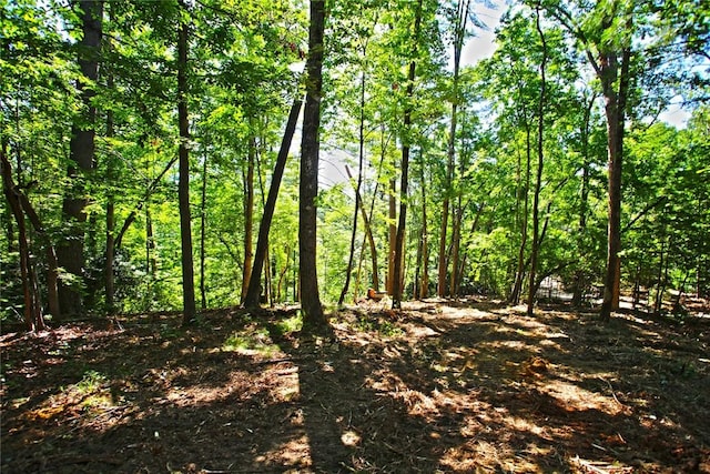 LOT19 Keowee Bay, Salem, SC 29676 - photo 28