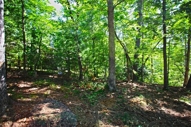 LOT19 Keowee Bay, Salem, SC 29676 - photo 29
