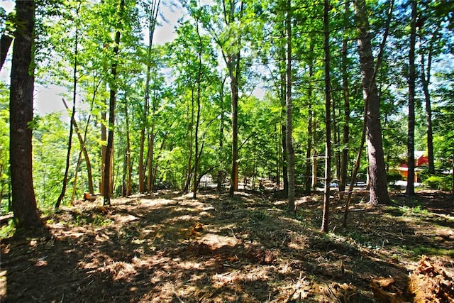 LOT19 Keowee Bay, Salem, SC 29676 - photo 30
