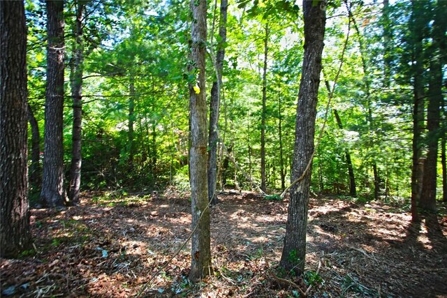 LOT19 Keowee Bay, Salem, SC 29676 - photo 32