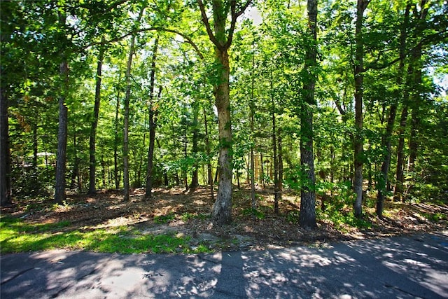 LOT19 Keowee Bay, Salem, SC 29676 - photo 34