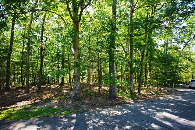 LOT19 Keowee Bay, Salem, SC 29676 - photo 36