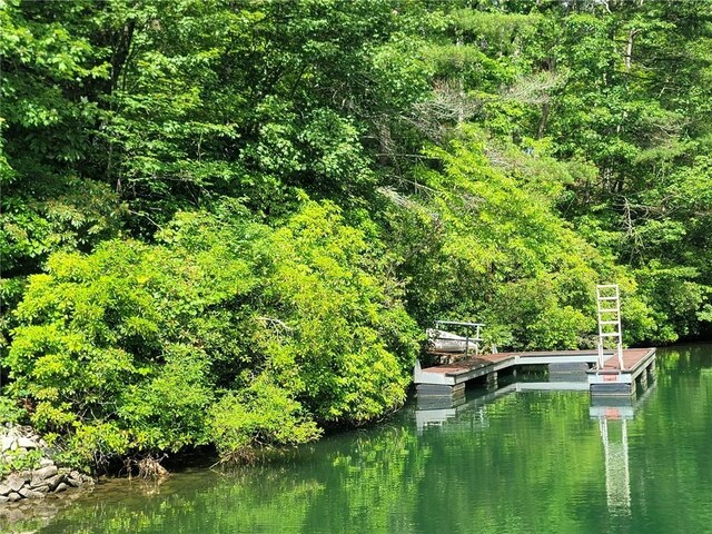 LOT19 Keowee Bay, Salem, SC 29676 - photo 47