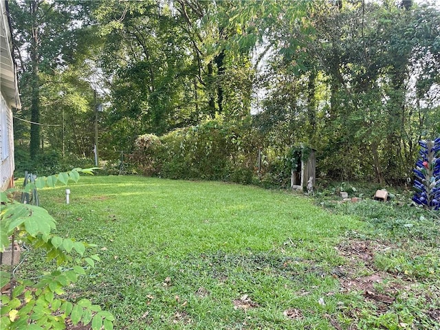 114 Bonnie Brae Ln, Walhalla, SC 29691 - view of grassy yard