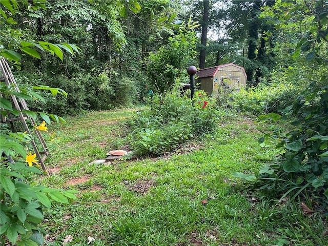 114 Bonnie Brae Ln, Walhalla, SC 29691 - view of yard featuring a storage shed
