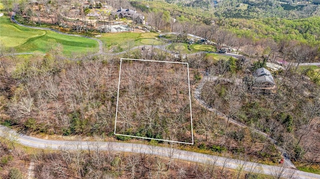 LOT13 Glassy Ridge Rd, Landrum, SC 29356 - photo 2
