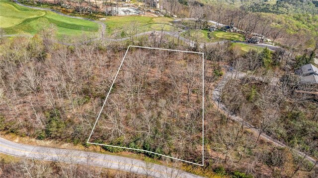 LOT13 Glassy Ridge Rd, Landrum, SC 29356 - photo 4