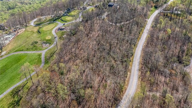 LOT13 Glassy Ridge Rd, Landrum, SC 29356 - photo 8