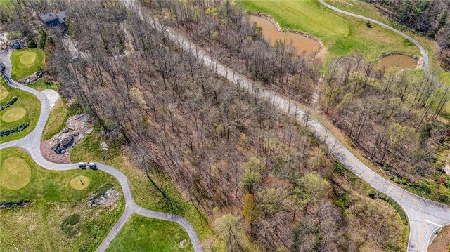 LOT13 Glassy Ridge Rd, Landrum, SC 29356 - photo 9