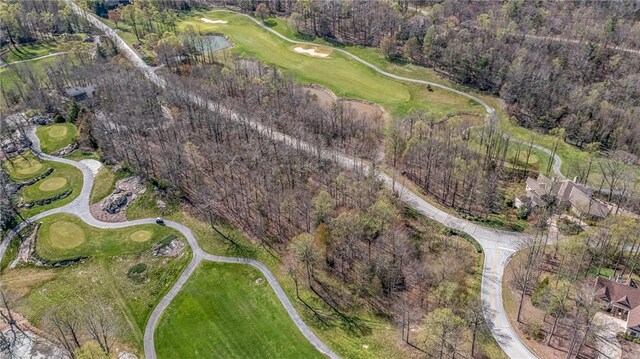 LOT13 Glassy Ridge Rd, Landrum, SC 29356 - photo 10