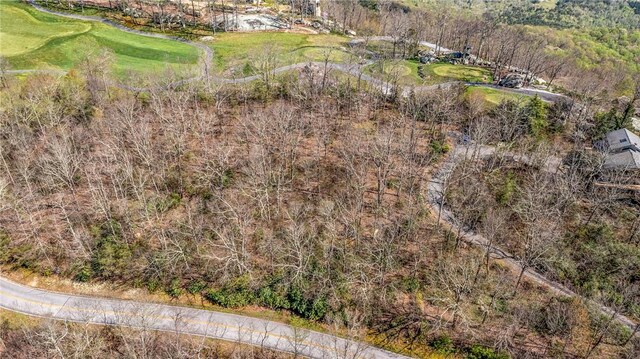 LOT13 Glassy Ridge Rd, Landrum, SC 29356 - photo 11