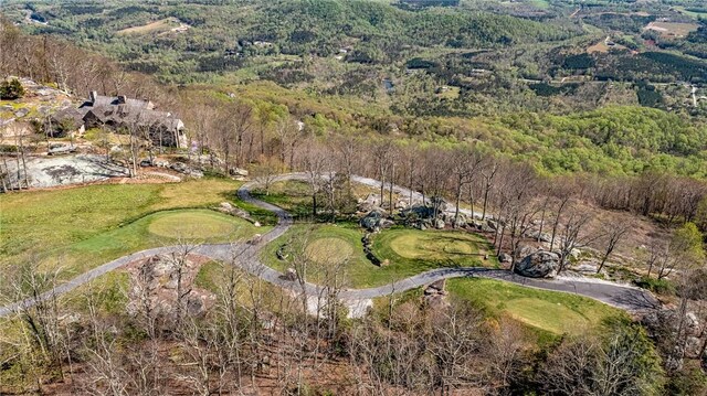 LOT13 Glassy Ridge Rd, Landrum, SC 29356 - photo 12