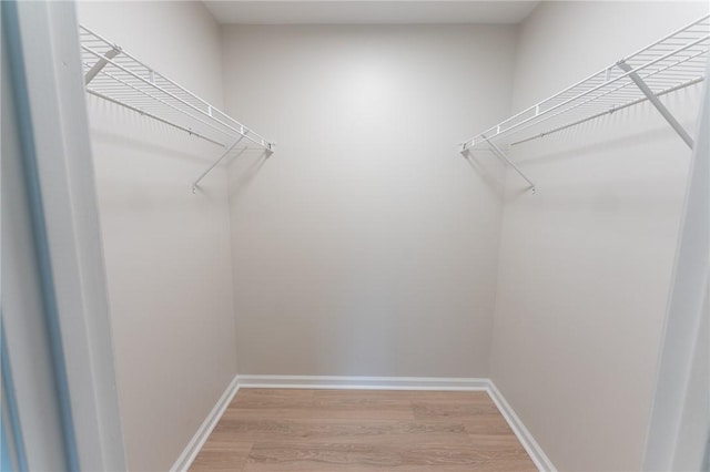 913 Berkeley Dr, Clemson, SC 29631 - spacious closet featuring light wood-style floors