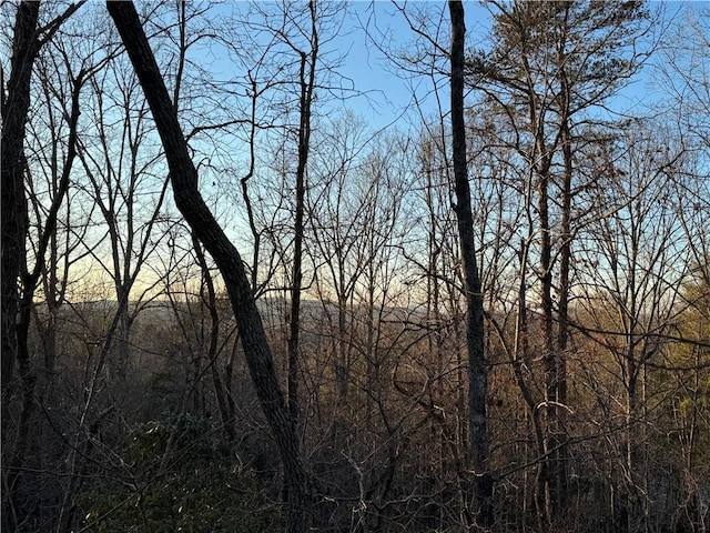 4B Piper Ln, Pickens, SC 29671 - photo 20