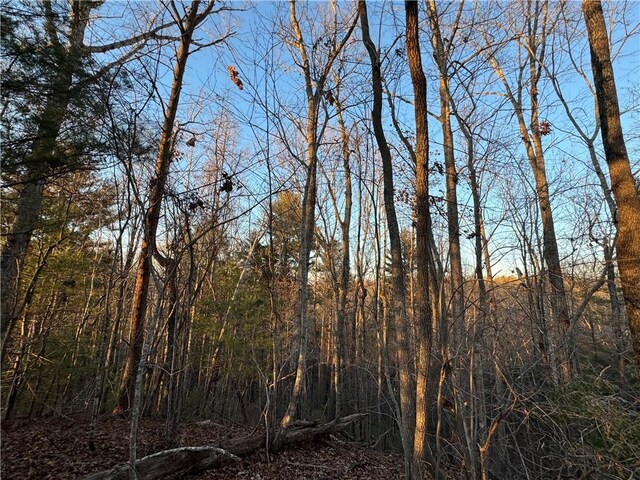 4B Piper Ln, Pickens, SC 29671 - photo 21