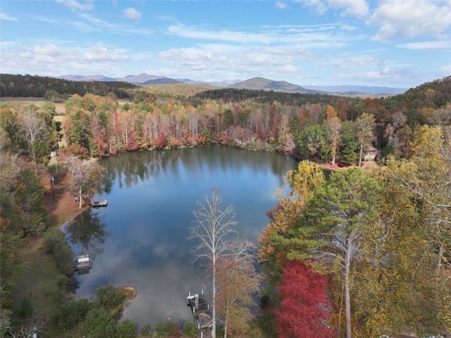 4B Piper Ln, Pickens, SC 29671 - photo 3