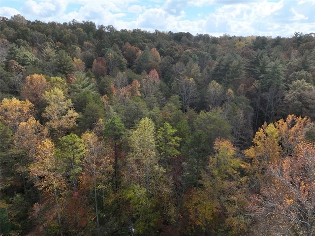 4B Piper Ln, Pickens, SC 29671 - photo 4