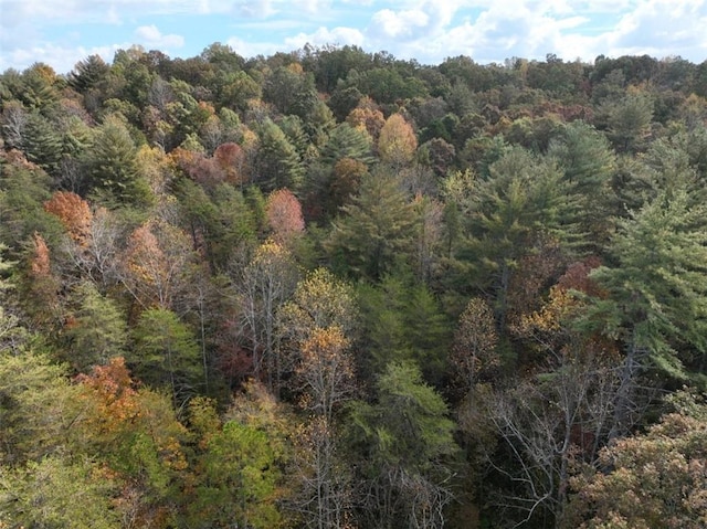 4B Piper Ln, Pickens, SC 29671 - photo 5