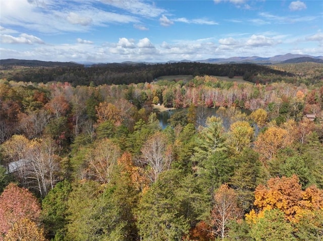 4B Piper Ln, Pickens, SC 29671 - photo 7