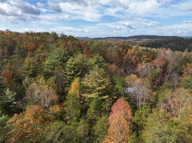 4B Piper Ln, Pickens, SC 29671 - photo 8