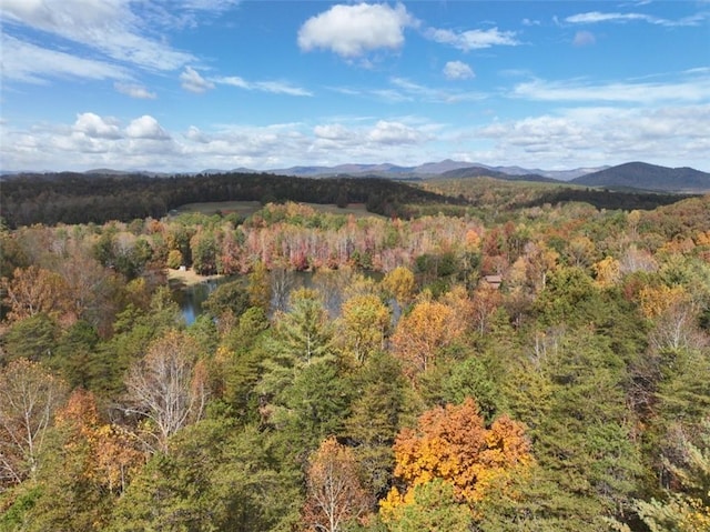 4B Piper Ln, Pickens, SC 29671 - photo 9
