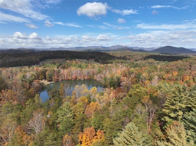 4B Piper Ln, Pickens, SC 29671 - photo 10